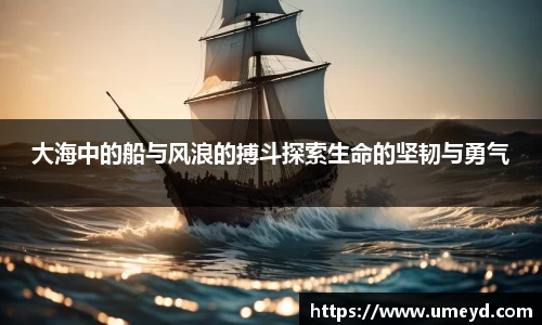 大海中的船与风浪的搏斗探索生命的坚韧与勇气